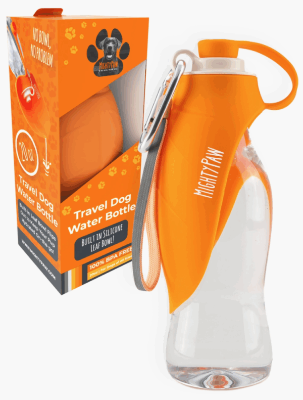 Travel Dog Water Bottle with Built-in Dispenser