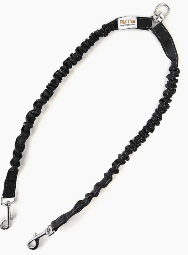 Double Bungee Dog Leash- Black