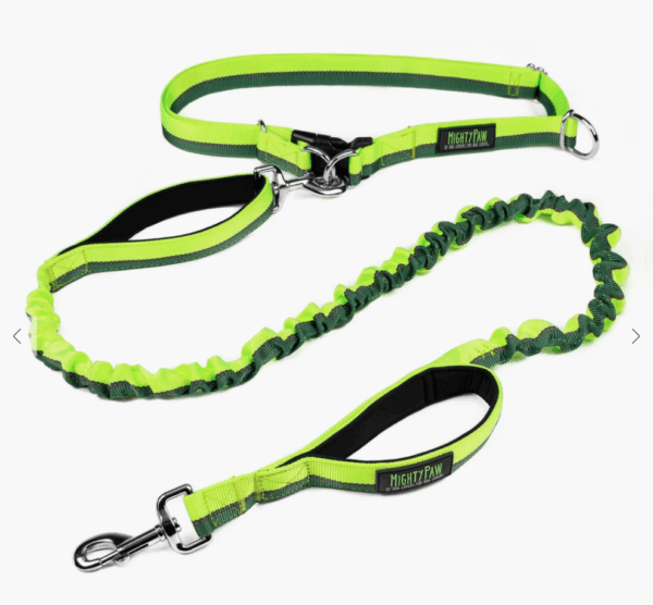 Hands Free Dog Leash- 4' Green