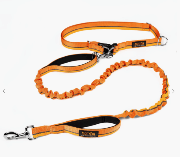 Hands Free Dog Leash- 4' Orange