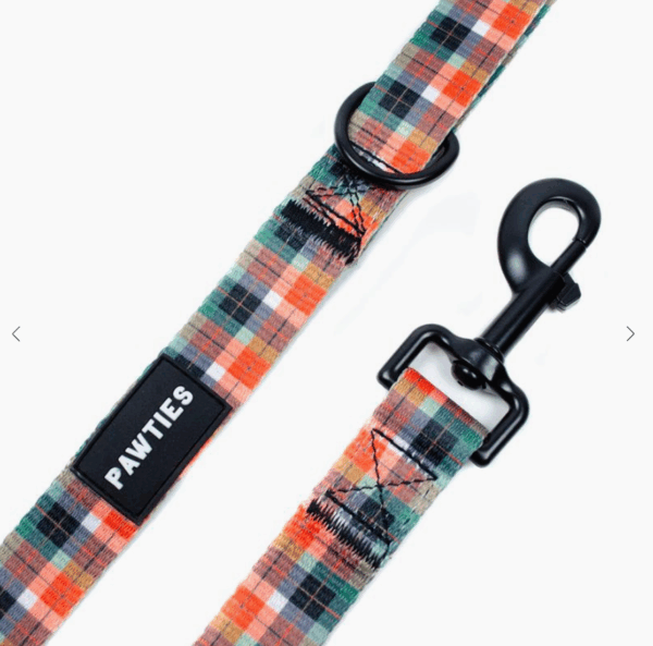 Ranger Dog Leash