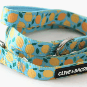 Lemon Squeeze Dog Leash- 1" - Image 2