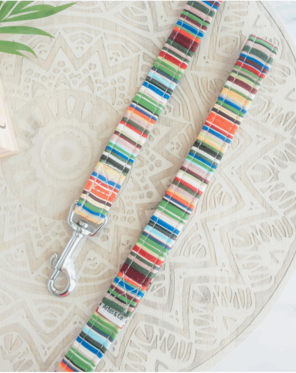 Deckchair Stripe Dog Leash