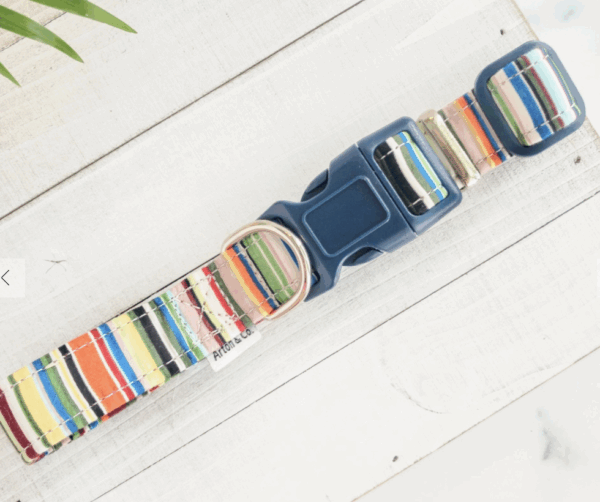 Deckchair Stripes Dog Collar