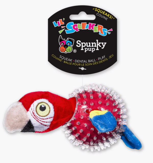 Parrot in Clear Spiky Ball