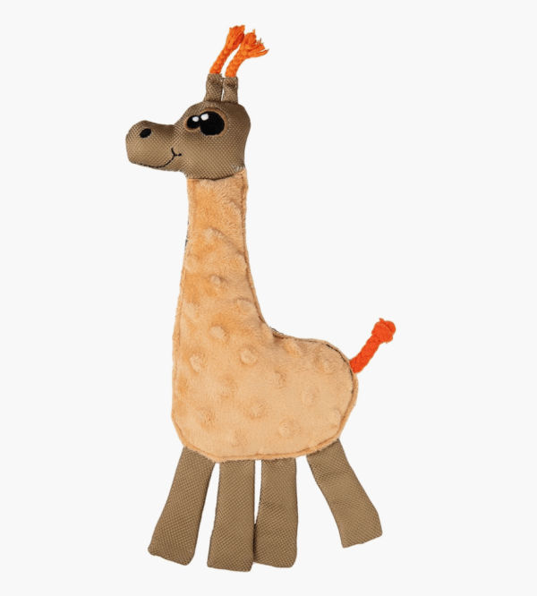 Wo Wild Giraffe