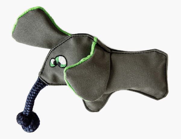 Wo Wild Elephant