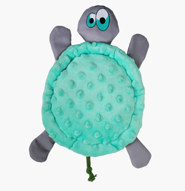 Wo Wild Turtle