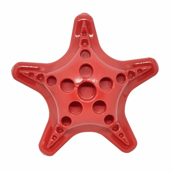 Starfish Ultra Durable Nylon Dog Chew