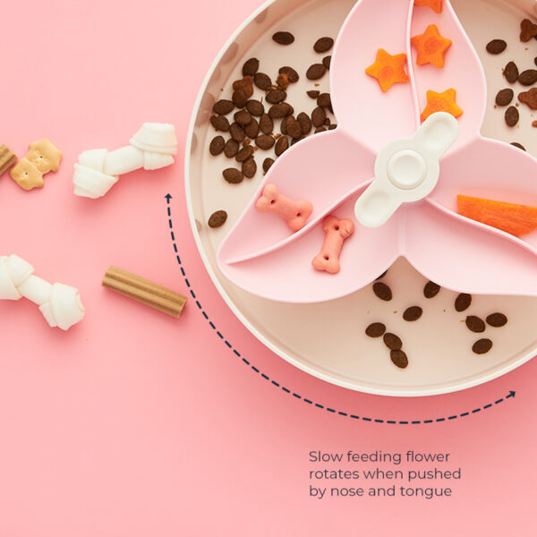 SPIN Interactive Feeder