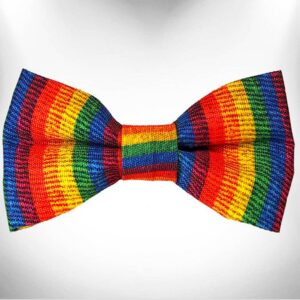 Rainbow Pride Bow