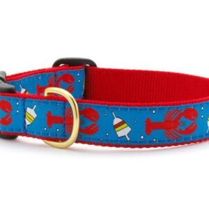 Lobster and Buoy collar