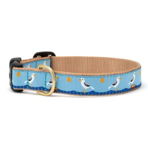Gull watch dog collar