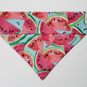 Watermelon Bandana