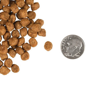 Fromm Gold Indoor Cat 10lb - Image 2