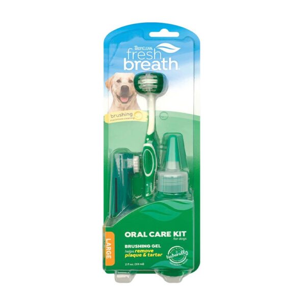 Oral Care Kit