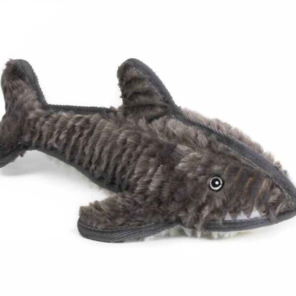 Ruffian Shark