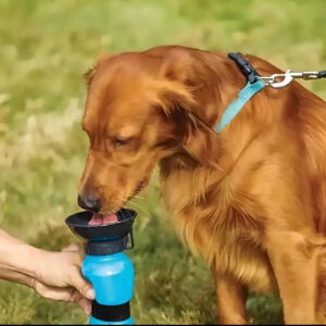 Portable Dog Water Dispenser