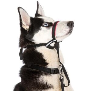 Halti Optifit Headcollar