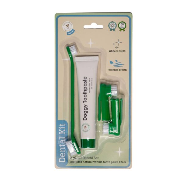 4 - Piece Dental Kit