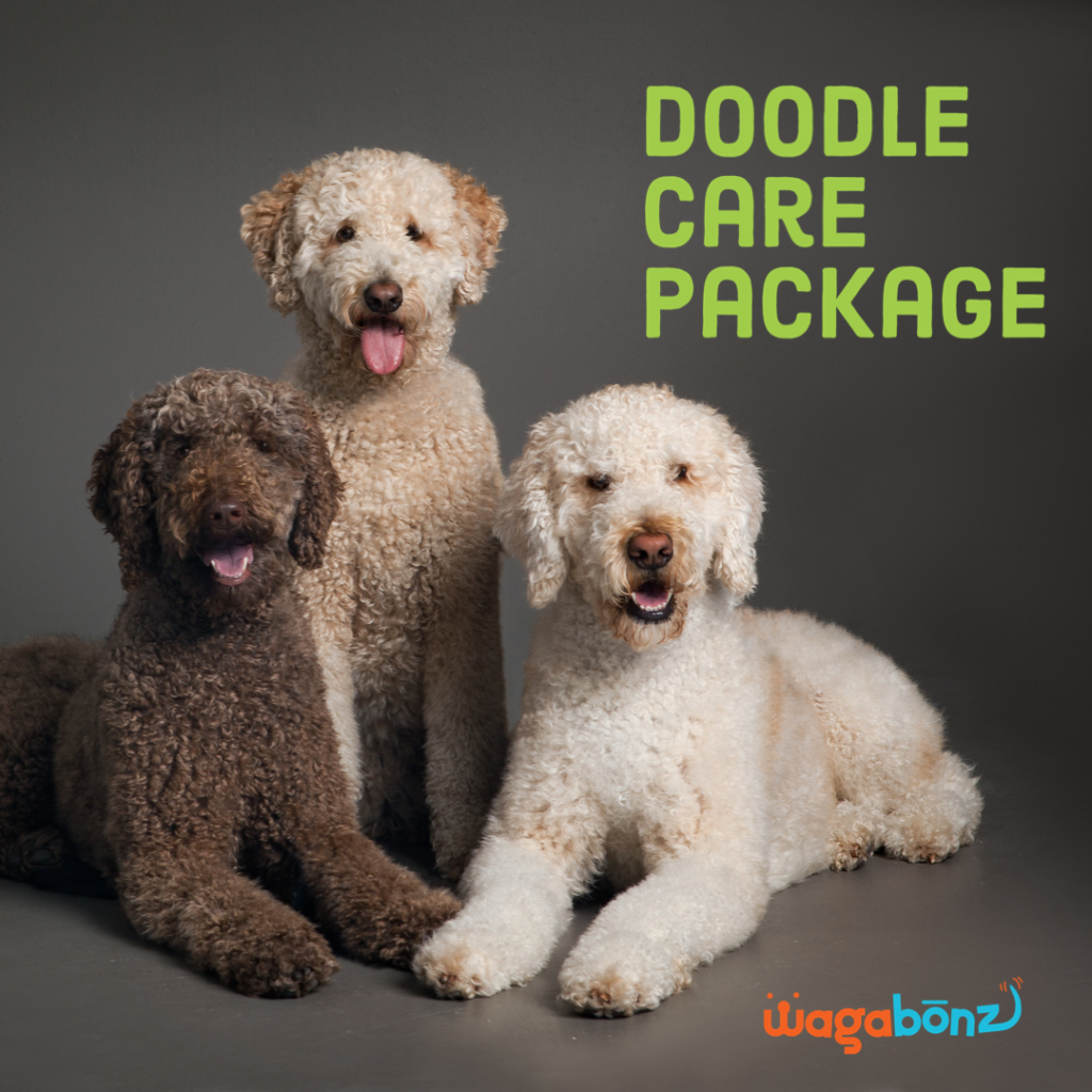 Doodle Poodle Package