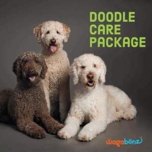 Doodle Poodle Package