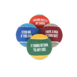 Dog Tennis Ball - 4 Pack