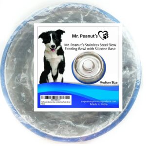 Feed Anti Bloat Dog Bowl with Bonded Silicone Base