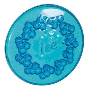 Freezies Flyer Frisbee