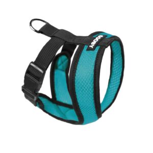 Head-in Harness