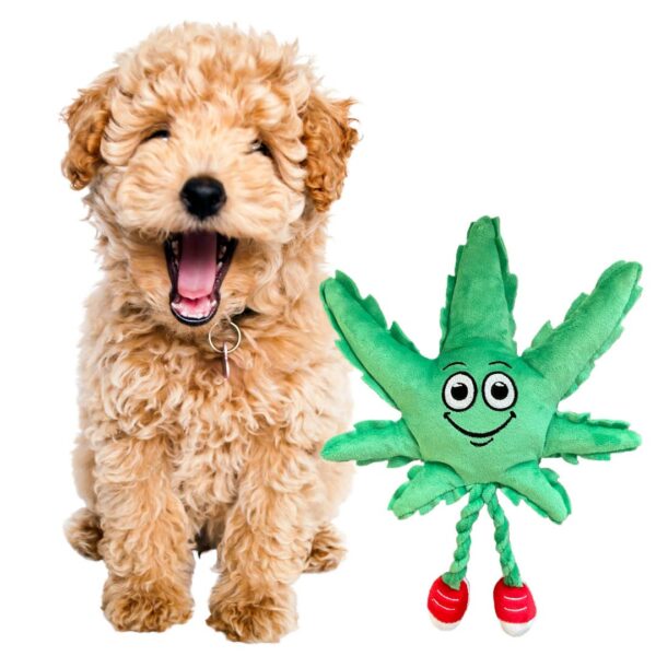 Weed Leaf 420 Dog Toy