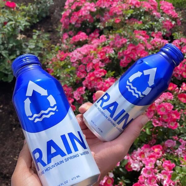 Rain - Spring Water
