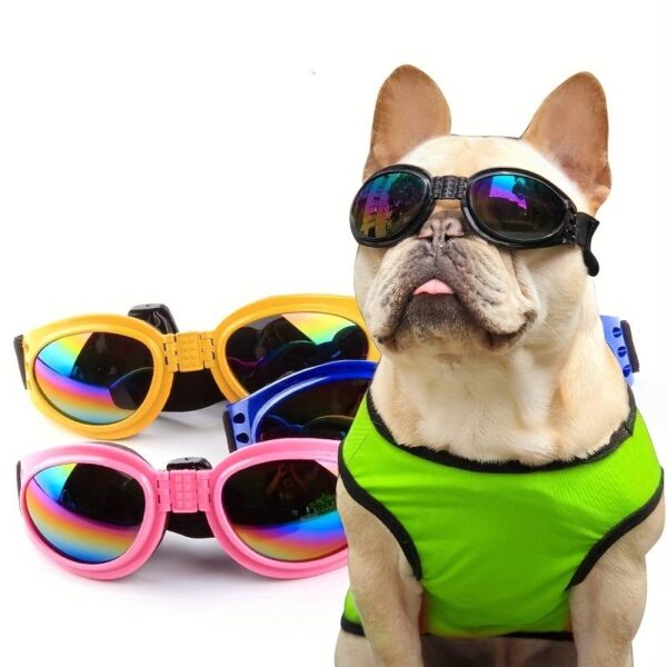 Dog Goggles