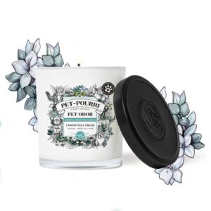 Pet~Pourri Candle