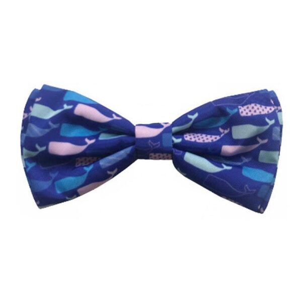 Bow Tie Whale Watch