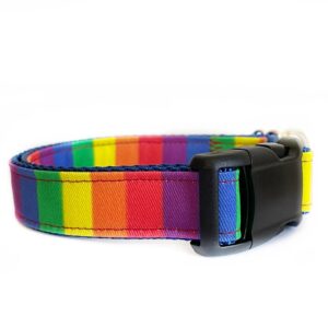 Pride Rainbow Stripe - Dog Collar
