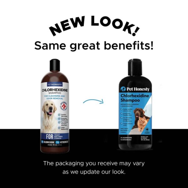 Chlorhexidine Shampoo