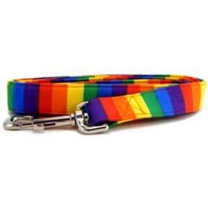 RainBow Stripe - Dog Collar