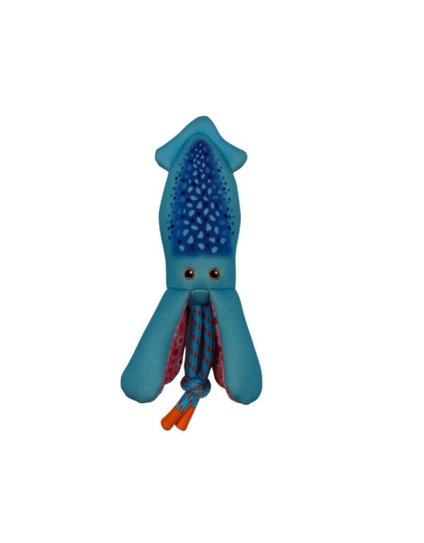 Squid Floatie