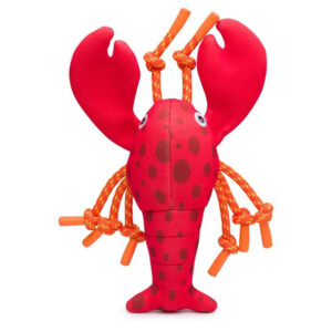 Lobster Floatie