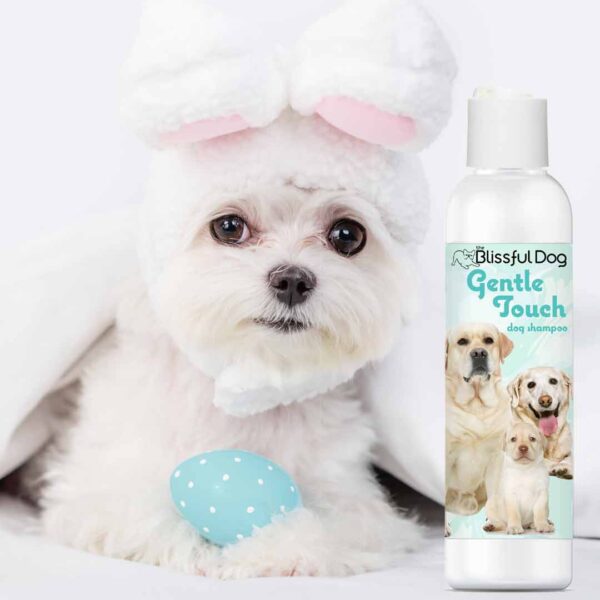 Gentle Touch Dog Shampoo