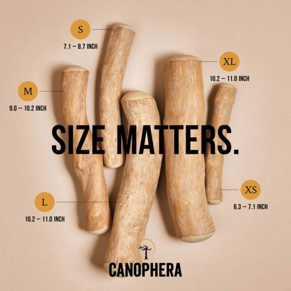 Coffee Tree Wood Natural Chew
