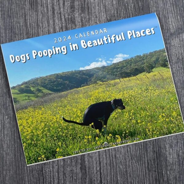 Dogs Pooping in Beautiful Places™ 2024 Calendar