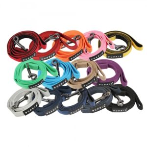 Two Tone Dog Leash