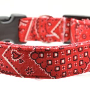 Red Bandana Collar