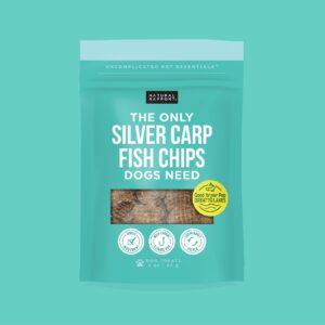 Silver Carp Fish Chips