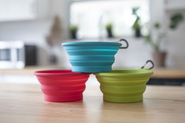 Silicone Collapsible Bowl