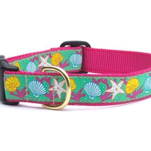 Reef Dog Collar