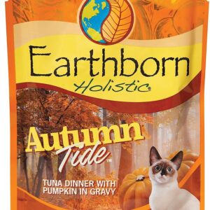 Autumn Tide - Tuna With Pumpkin & Gravy