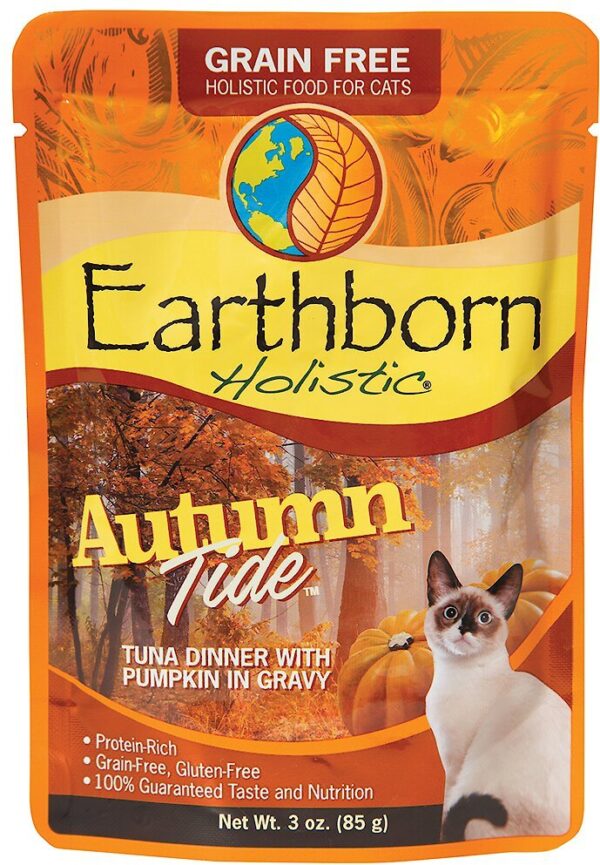 Autumn Tide - Tuna With Pumpkin & Gravy
